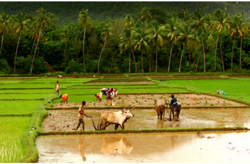 pm_kisan_samman_nidhi.png PM Kisan Scheme: किसानों के खाते में इस तारीख को आएगी 9वीं किस्त, लिस्ट में ऐसे चेक करें अपना नाम