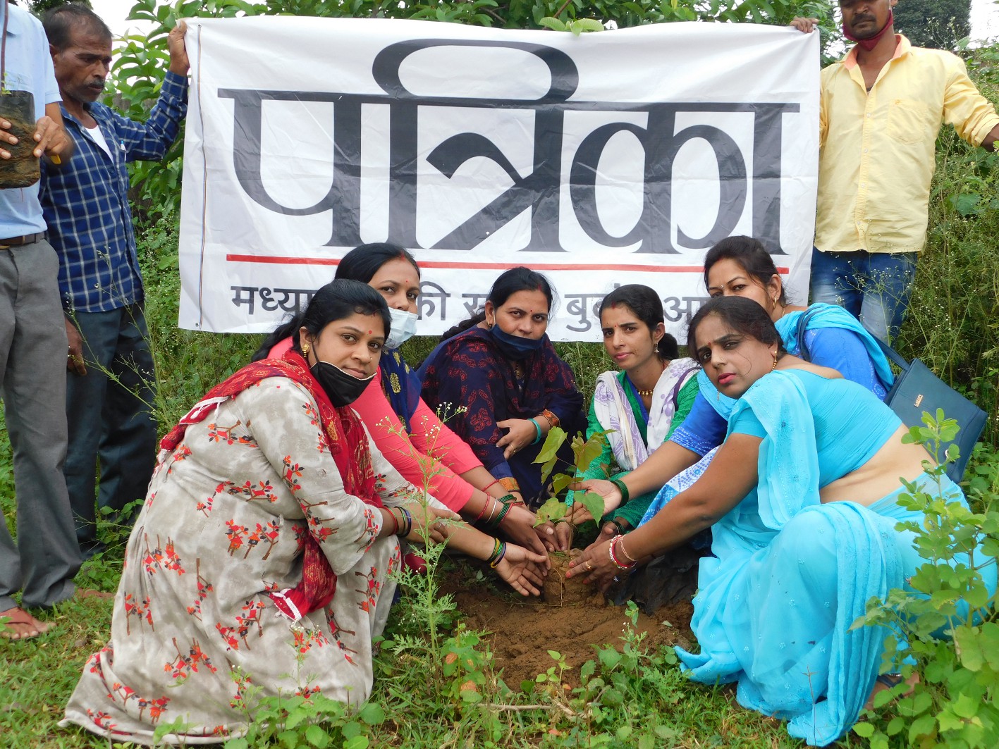 To keep the earth green, plant saplings, sandalwood and fruit trees in