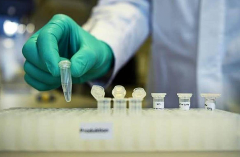 windlas Biotech IPO Stock Market में बहार, पहले दिन विंडलास बायोटेक का IPO 2 गुना हुआ सब्सक्राइब