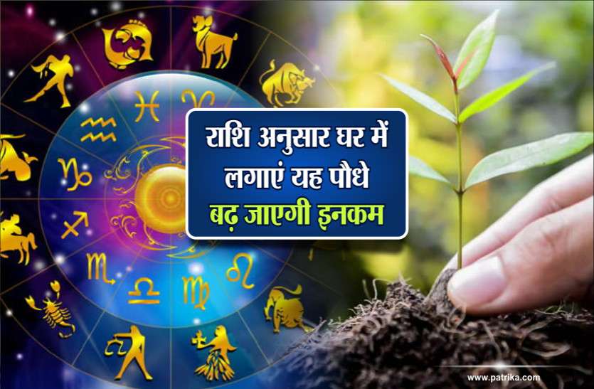Hariyali Amavasya 2021 : आज अमावस्या पर बन रहा रवि पुष्य ...