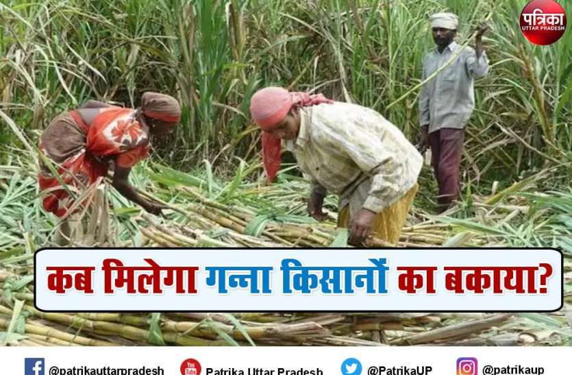 ganna_kisan_6937285_835x547-m.jpg Farmers Protest : तीन साल, वही दाम, यूपी के गन्ना किसान हलाकान