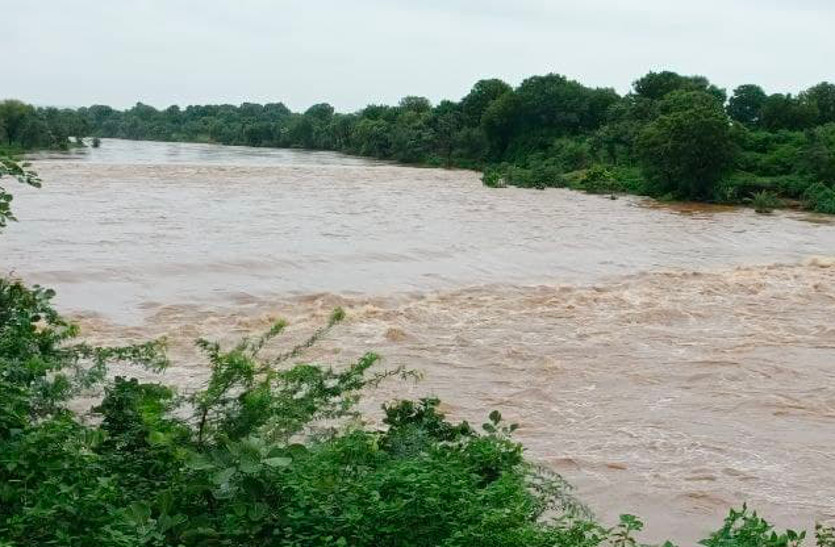 monsoon 2021 rain in rajasthan dam water level