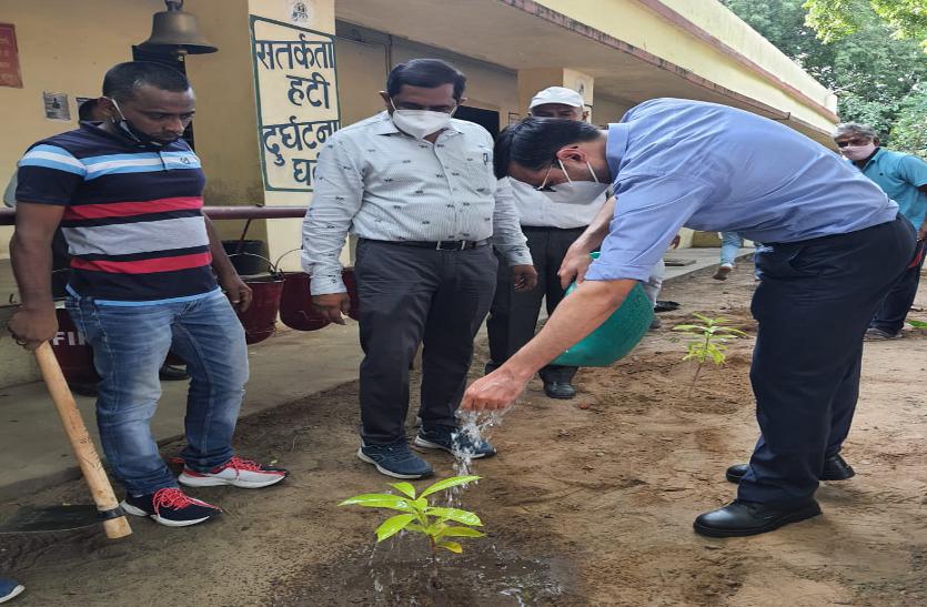 VIDEO : रेलकर्मियों ने पौधरोपण कर किया पर्यावरण के प्रति जागरूक
