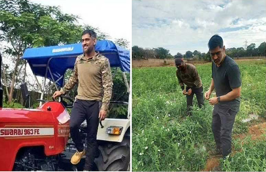 dhoni2.png