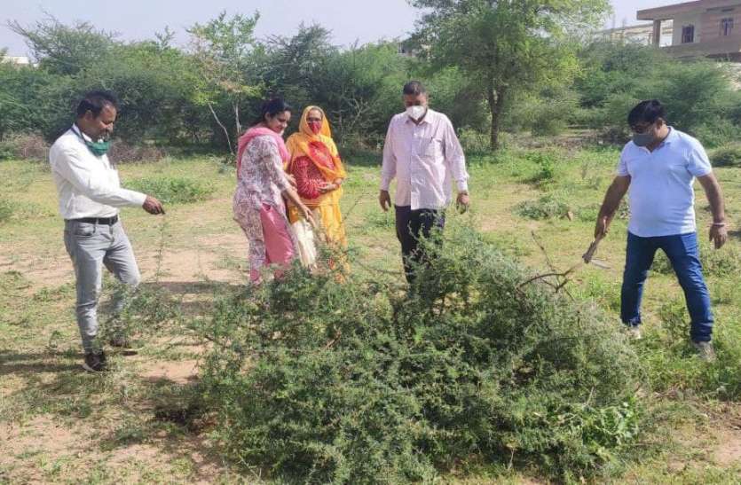 Awakened on the advice of the Collector, the officers did Shramdaan कलक्टर की नसीहत पर जागे अधिकारियों ने किया श्रमदान