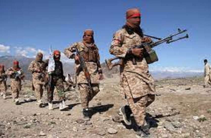 taliban पाक के पूर्व सीनेटर का बयान, अफगानिस्तान में तालिबान की जीत से बहुत खुश होगा पाकिस्तान