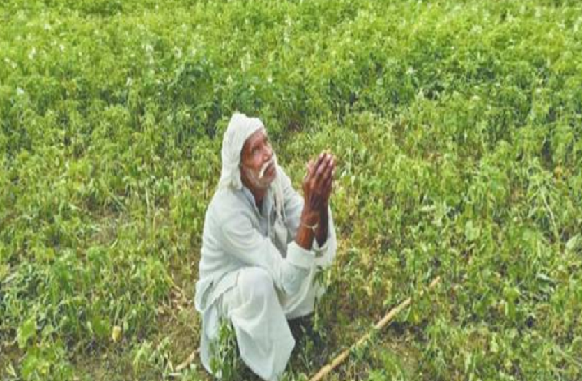 mp_farmers.png बारिश को तरसे 16 जिलों के किसान अब नए सिस्टम से उम्मीद