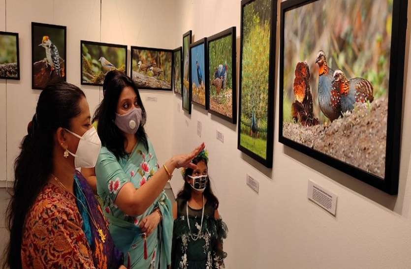 रेगिस्तान से लेकर बर्फ तक के सफर में मिली वाइल्डलाइफ की खूबसूरती रेगिस्तान से लेकर बर्फ तक के सफर में मिली वाइल्डलाइफ की खूबसूरती
