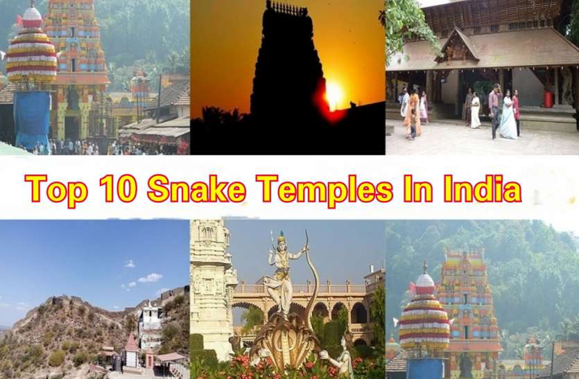 भारत के शीर्ष 10 सांप मंदिर भारत के शीर्ष 10 सांप मंदिर