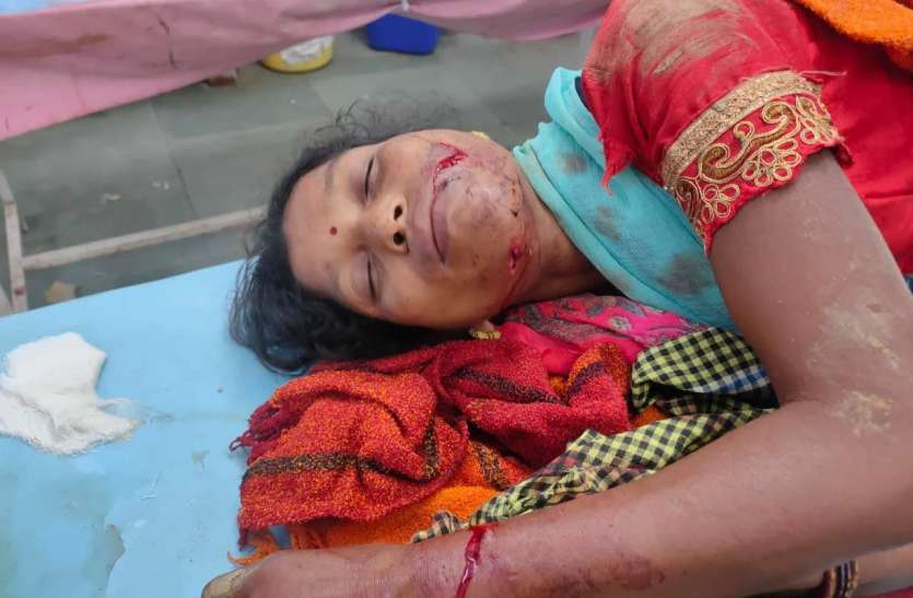 Bear attacked the couple going to the barn, both husband and wife inju खलिहान जा रहे दंपति पर भालू ने किया हमला, दोनों पति-पत्नी घायल
