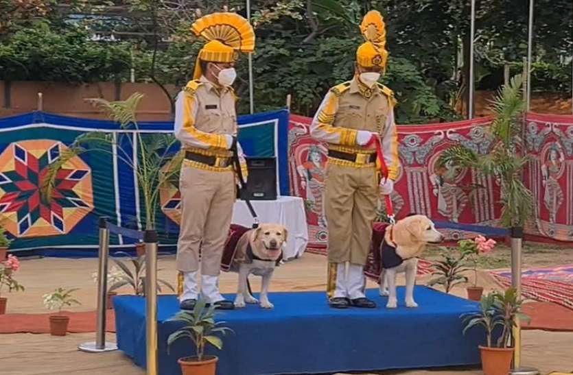 Two CISF dogs retire in Chenna चेन्नई एयरपोट की सुरक्षा में लगे दो लेब्राडोर डॉॅग्स हुए रिटायर, CISF के जवानों ने दी सलामी