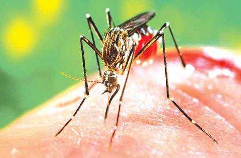 डेंगू केस आ रहे, कॉलेज से भेजी नहीं जा रही स्वास्थ्य विभाग को रिपोर्ट डेंगू केस आ रहे, कॉलेज से भेजी नहीं जा रही स्वास्थ्य विभाग को रिपोर्ट