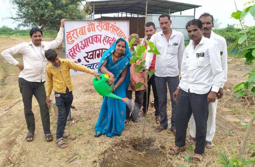 किया पौधरोपण, लिया सुरक्षा का संकल्प किया पौधरोपण, लिया सुरक्षा का संकल्प