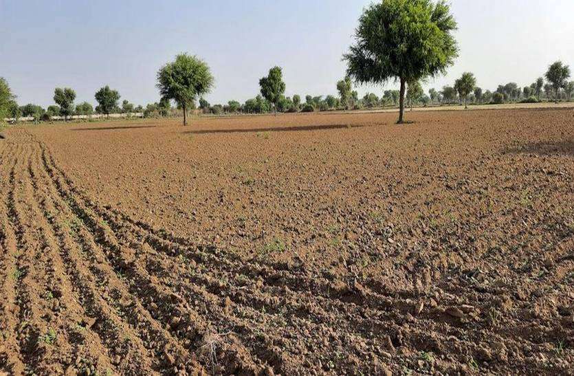 बरसात का इंतजार, आंखों के सामने सूख रही फसल बरसात का इंतजार, आंखों के सामने सूख रही फसल
