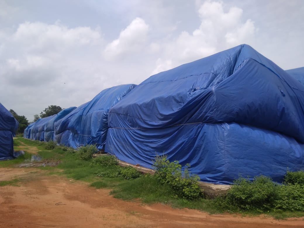 Collector angry over slow lifting of paddy, instructions for 63 thousa