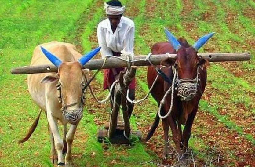 Rajiv Gandhi Rural Landless Agricultural Mazdoor Nyay Yojana