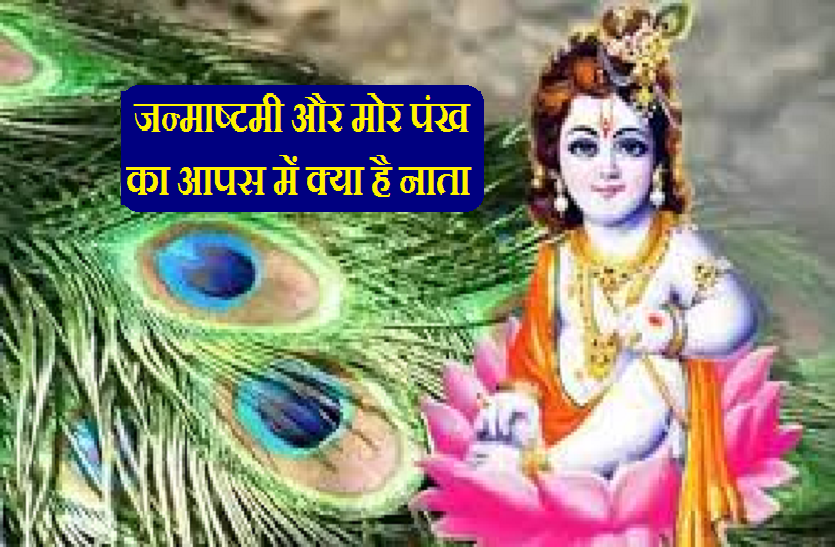 Shree Krishna Janmashtami 2021 Remove Vastu Dosha On This Janmashtami With Peacock Feathers