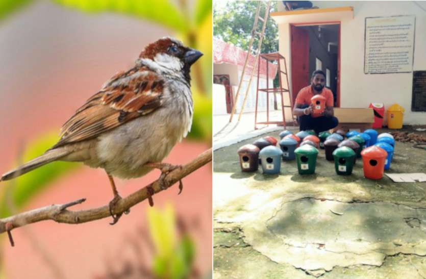 save_birds_news.jpg Save Birds Campaign: पक्षियों को बचाने के लिए युवाओं ने किया इस मुहिम का आगाज, बना रहे घरौंदा