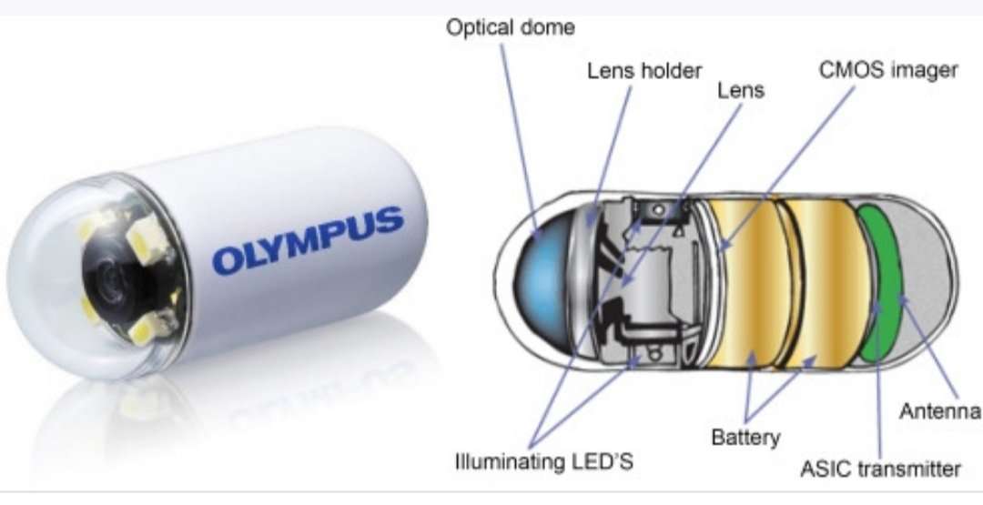 capsule.jpg