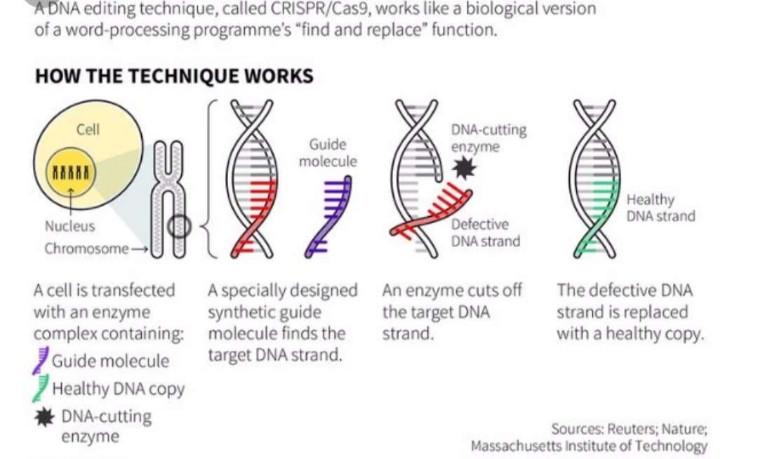 gene.jpg