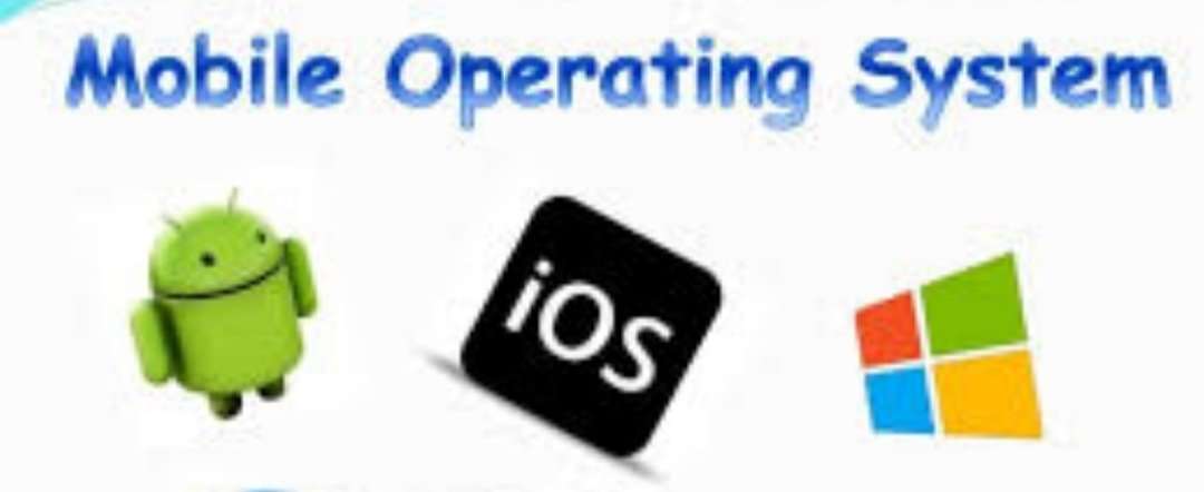 os.jpg