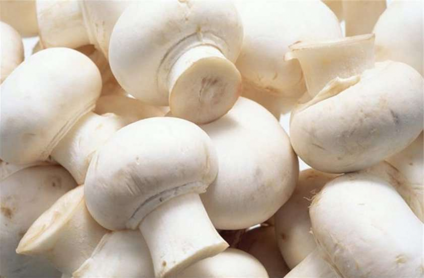 health tips Health News: तनाव से बचाव में कारगर है मशरूम, जानें इसके फायदे