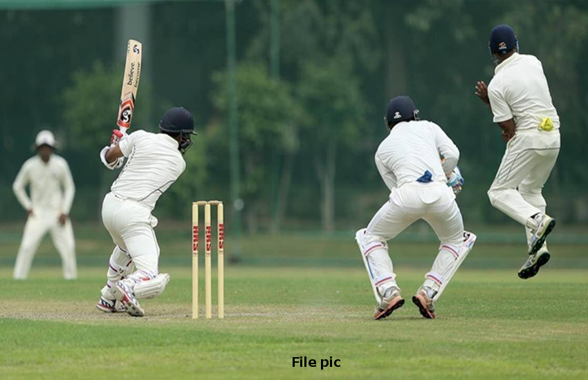 cricket.png