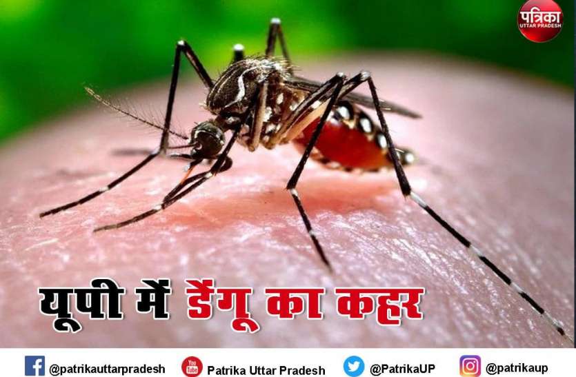 dengue.jpg Meerut : 50 के पार पहुंचा डेंगू से पीड़ितों का आंकड़ा, वायरल के मरीजों की संख्या में तेजी से बढ़ोतरी