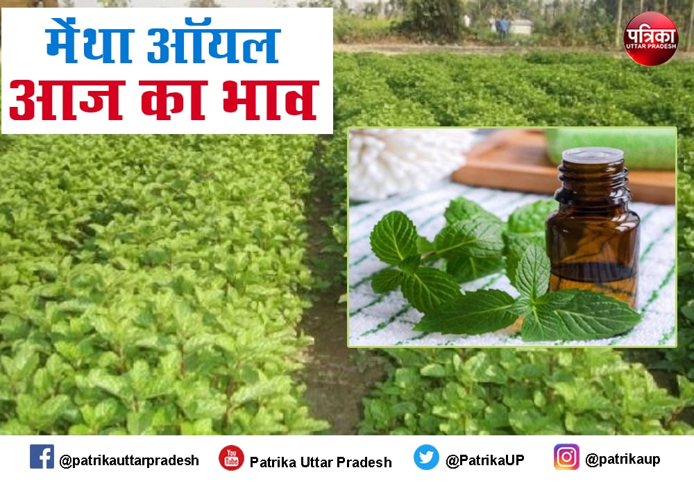 Mint Oil Rate Mentha Oil Price