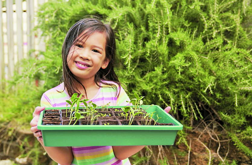 lead.png National Nutrition Week 2021: बच्चे पौष्टिक खाना और उगाना सीखेंगे, किचन गार्डन से जोड़ें