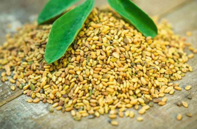 health tips Health Tips: पाचन क्रिया दुरुस्त करती है दानामेथी, ऐसे करें सेवन