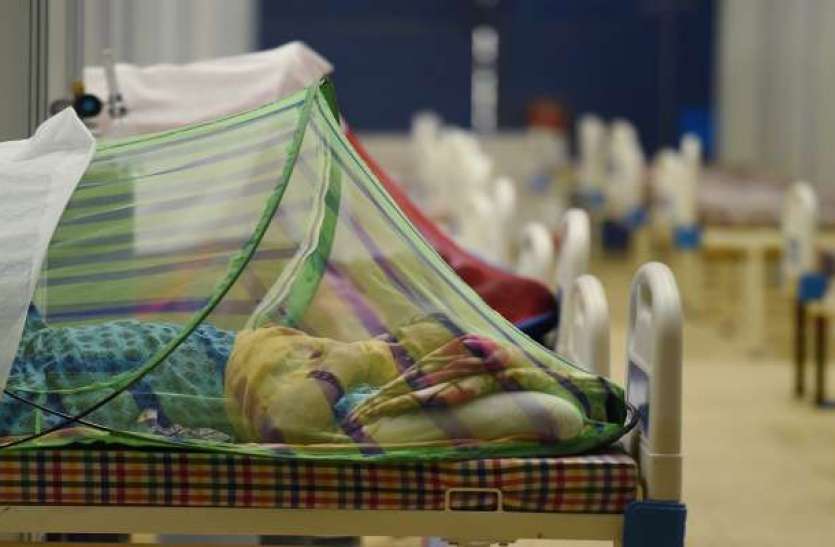 Dengue Cases in Delhi Dengue Cases in Dehli: कोरोना संकट के बीच दिल्ली में डेंगू का खतरा, तीन साल बाद सबसे ज्यादा केस आए सामने