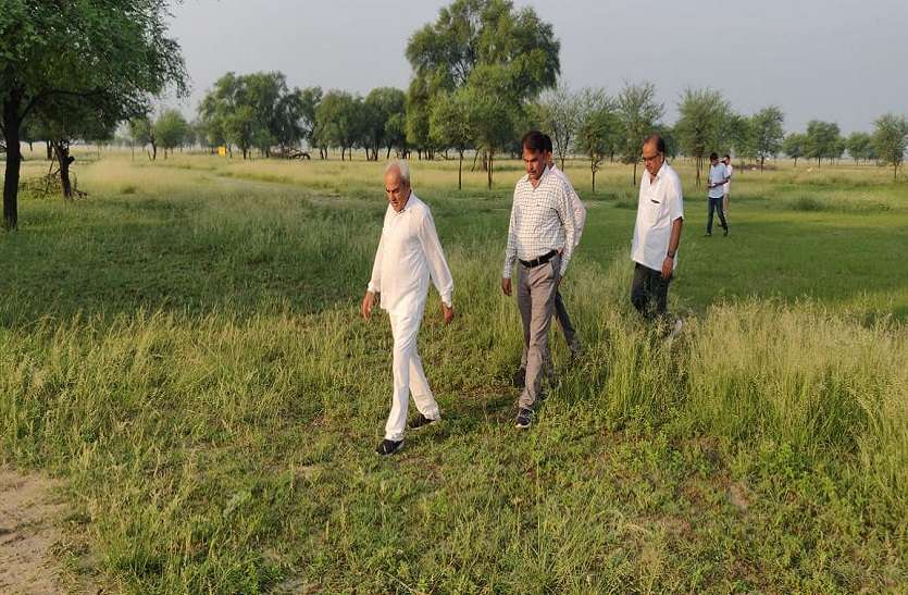 कृष्ण मृग संरक्षण के लिए अधिकारी करें गम्भीर प्रयास: वन मंत्री