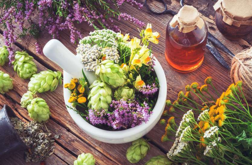 Weight Loss Tips Weight Loss Tips: बढ़ते वजन से हैं परेशान तो अपना सकते हैं इन जड़ी बूटियों को