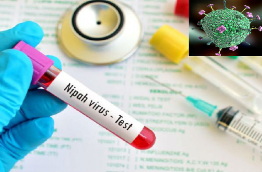 nipaah.png Nipah Virus: जानें निपाह वायरस के लक्षण और बचाव के उपाय