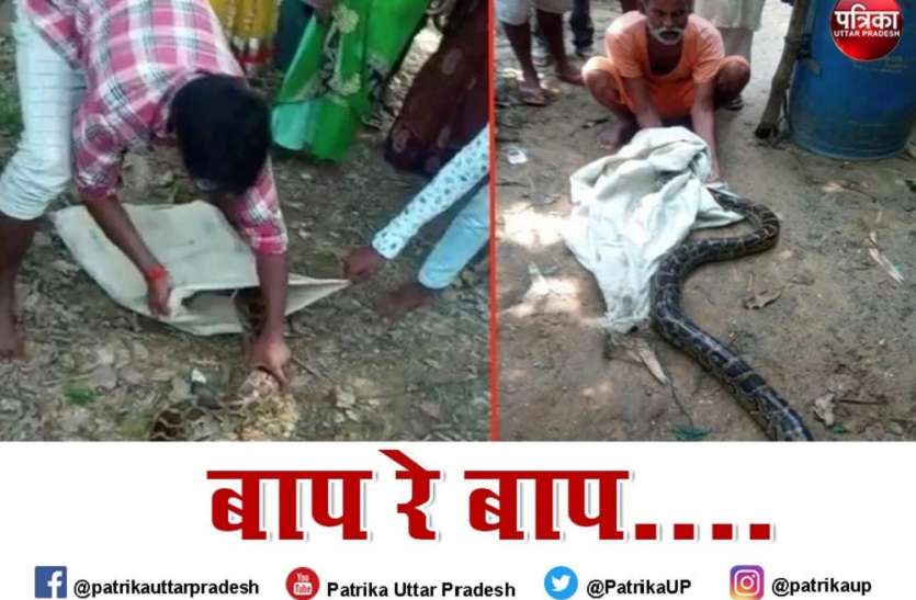 खतरनाक अजगर को इस हुनर से पकड़ा की गांववालों हो गए दीवाने, बोले वाह-वाह खतरनाक अजगर को इस हुनर से पकड़ा की गांववालों हो गए दीवाने, बोले वाह-वाह