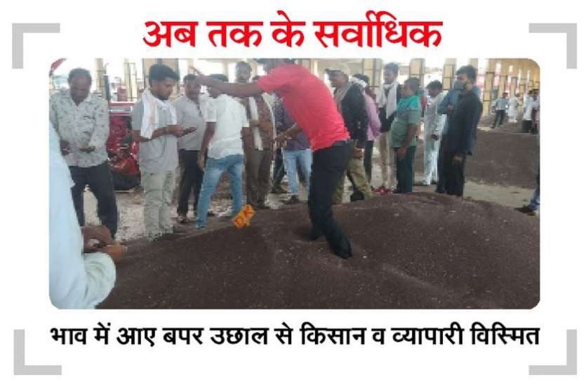 सरसों की छलांग, मंडी में पहली बार दाम आठ हजार के पार सरसों की छलांग, मंडी में पहली बार दाम आठ हजार के पार