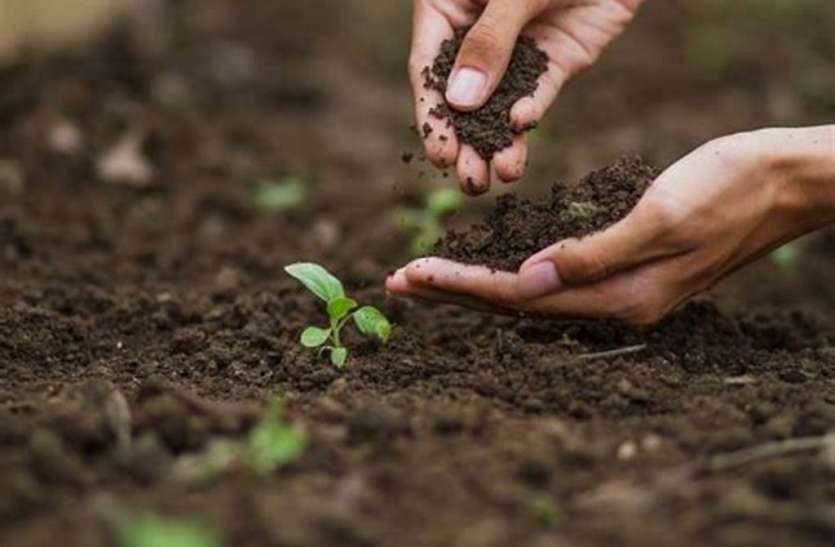 अकाल की स्थिति: सहकारी ऋण पर निर्भर रबी की बुवाई अकाल की स्थिति: सहकारी ऋण पर निर्भर रबी की बुवाई