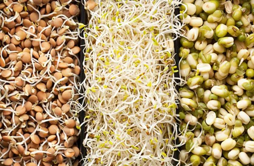 sprouts_benefits.jpg Benefits of Sprout: सुबह खाली पेट स्प्राउट्स खाने से मिलेंगे कई शानदार फायदे