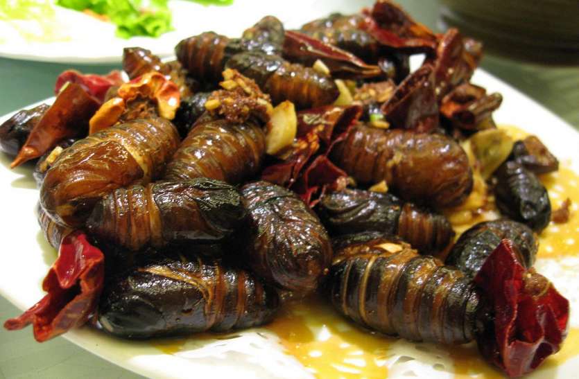 weird_food.jpg Weird Food In India: कैसे यह अजब गजब व्यंजन