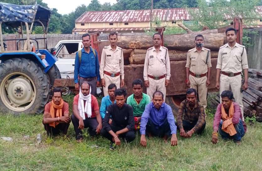 Wood smuggling 8 लाख की सागौन लकड़ी समेत 8 तस्कर गिरफ्तार, वन समिति के अध्यक्ष को ट्रैक्टर से कुचलने की कोशिश