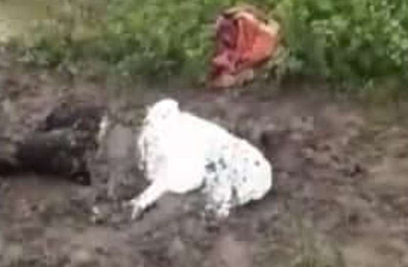 dead2.jpg