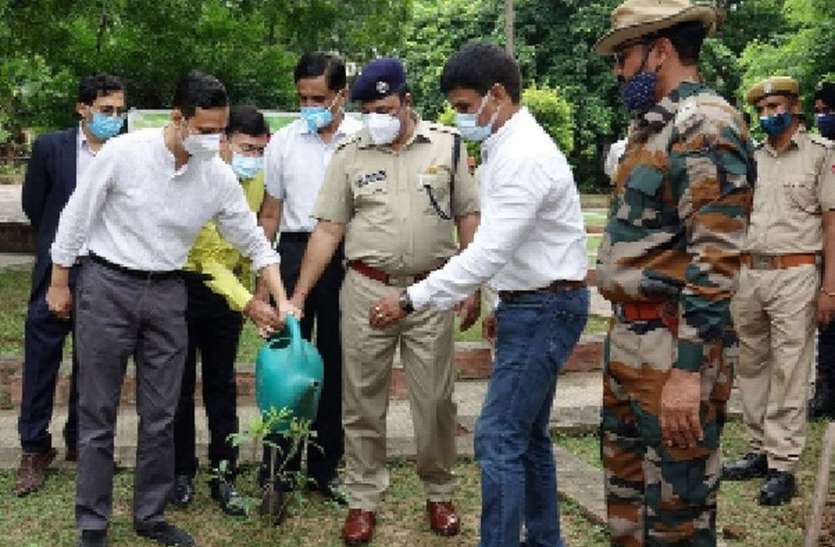 फलदार पौधे रोपने पर जोर फलदार पौधे रोपने पर जोर