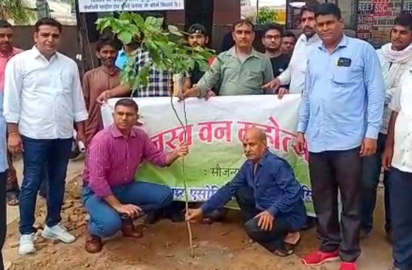 वन महोत्सव मना तहसील कार्यालय परिसर में रोपे पौधे वन महोत्सव मना तहसील कार्यालय परिसर में रोपे पौधे