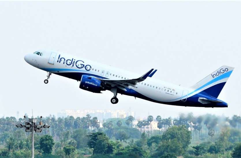 indigo airlines IndiGo घरेलू स्तर पर सभी सेवाओं को पूरी क्षमता के साथ जल्द शुरू करेगी