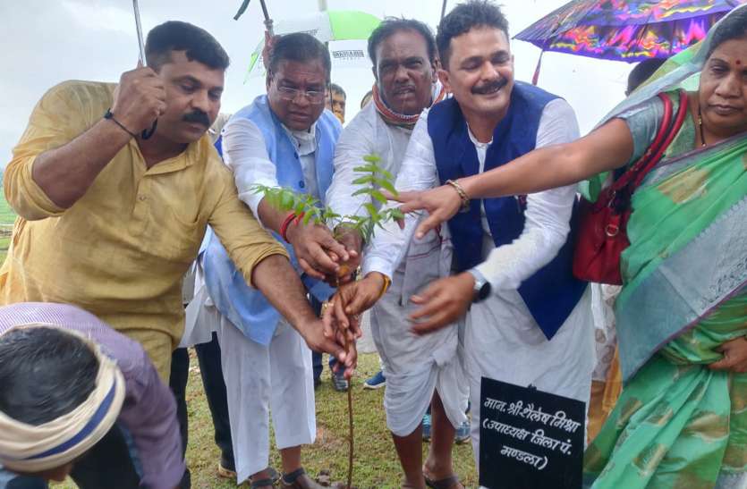 लिमारुआ के 40 हेक्टेयर में तैयार होगार नीम वन लिमारुआ के 40 हेक्टेयर में तैयार होगार नीम वन