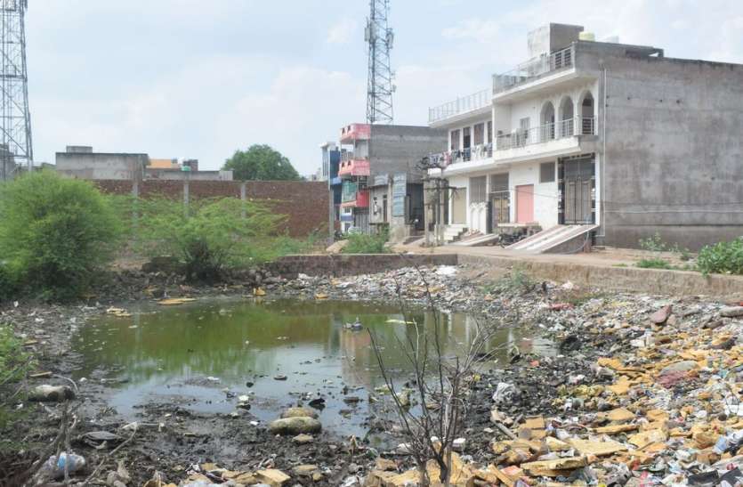 Dengue stings hovering, empty land filled with dirty water मंडरा रहा डेंगू का डंक, गंदे पानी से लबालब खाली भूखण्ड