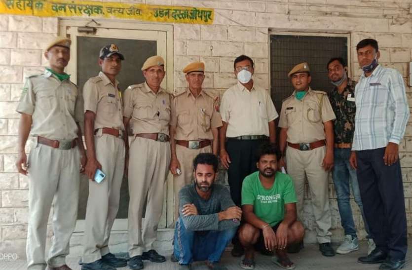 हाथी दांत के कारोबारियों को 15 दिन की न्यायिक हिरासत में भेजा हाथी दांत के कारोबारियों को 15 दिन की न्यायिक हिरासत में भेजा