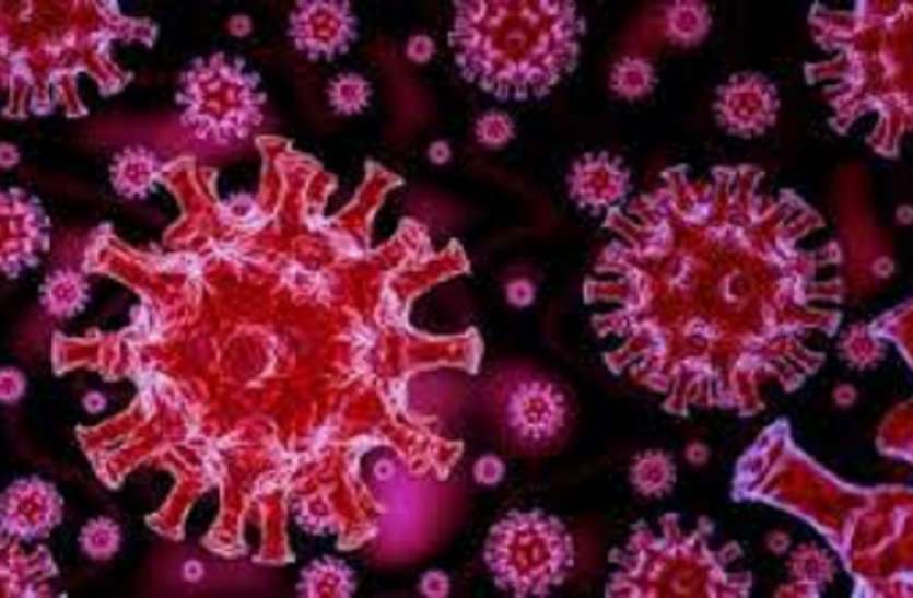 vaccine एक खुराक के साथ 100 प्रतिशत वयस्कों का वैक्सीनेशन करने वाला नीलगिरी राज्य का पहला जिला