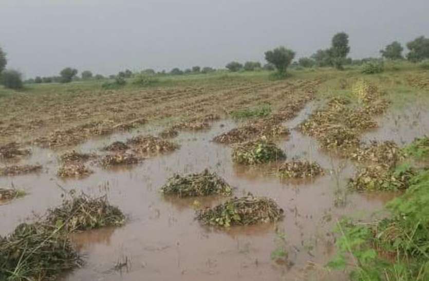 किसानों के अरमानों पर फिरा बारिश का पानी किसानों के अरमानों पर फिरा बारिश का पानी